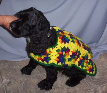 Joy's New Rainbow Crochet Coat